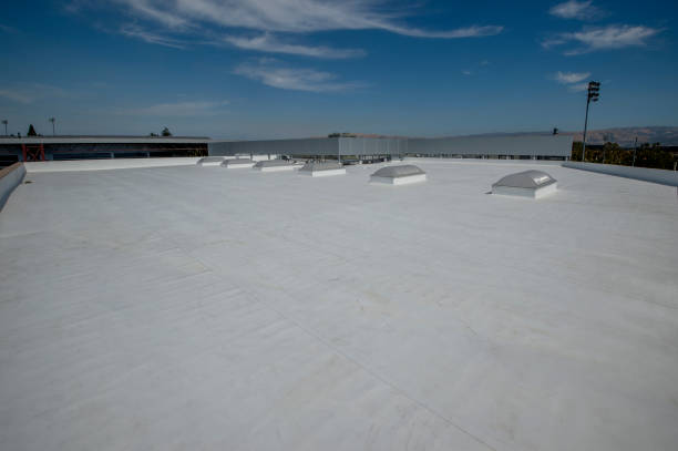 Best Skylight Installation and Repair  in Rossville, KS