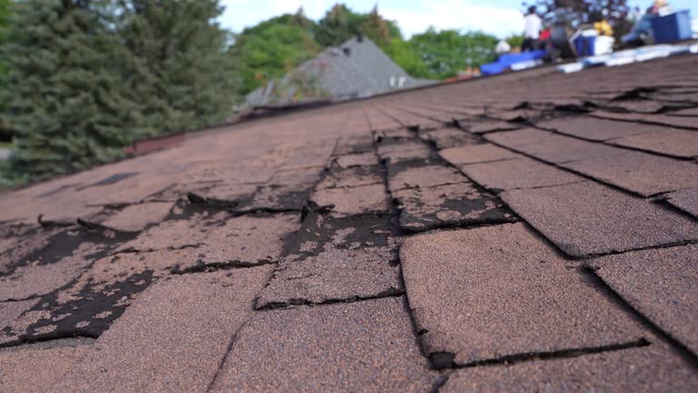 Best Roof Maintenance and Cleaning  in Rossville, KS