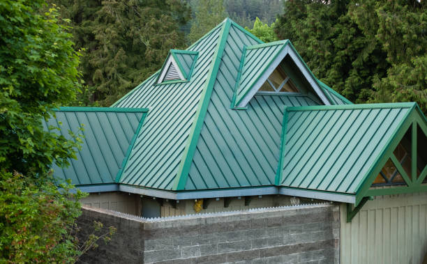 Best Roof Moss and Algae Removal  in Rossville, KS
